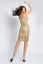GOLDEN LACE DRESS WITH SEQUINS RN 2319